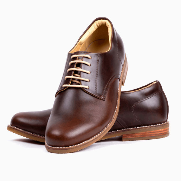Men's Aubergine Oxford